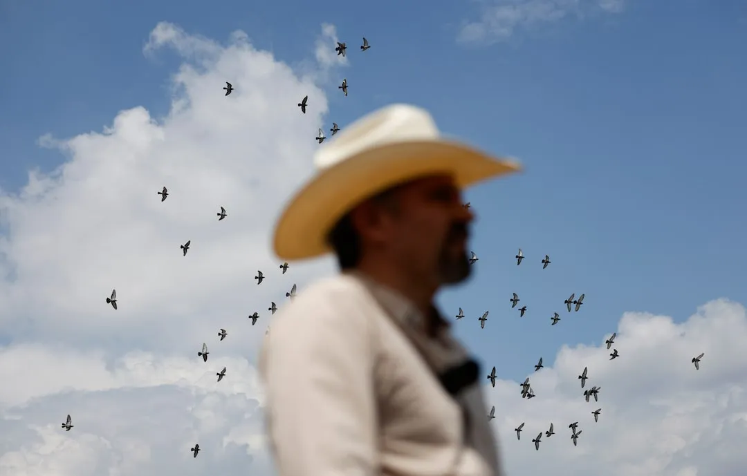Mexican beef producers thrive. image 2