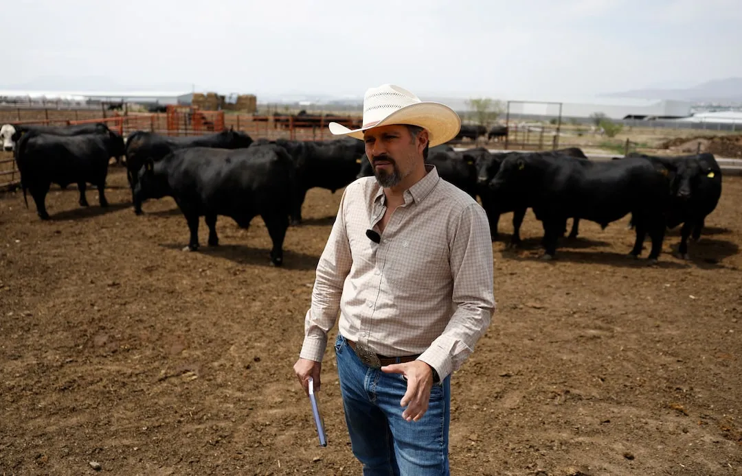 Mexican beef producers thrive. image 5