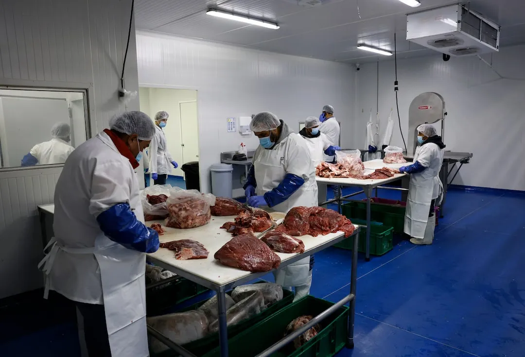 Mexican beef producers thrive. image 10