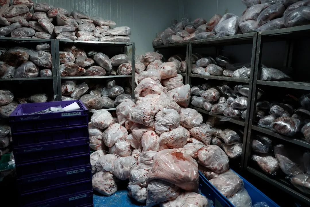 Mexican beef producers thrive. image 11