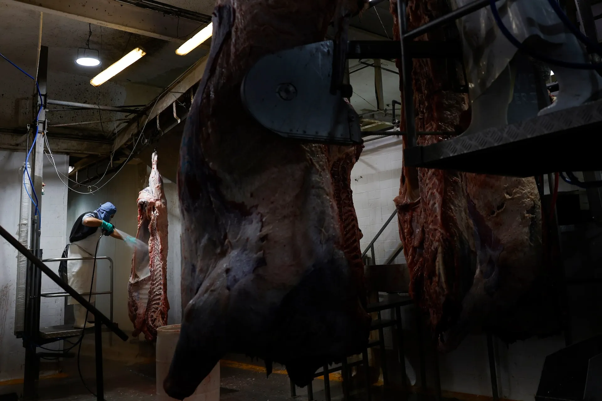 US Cattle Herd Declines image 2