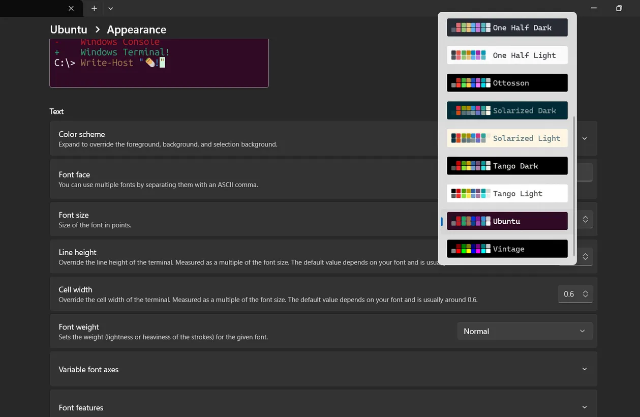 Personalize Windows Terminal to your liking. image 4