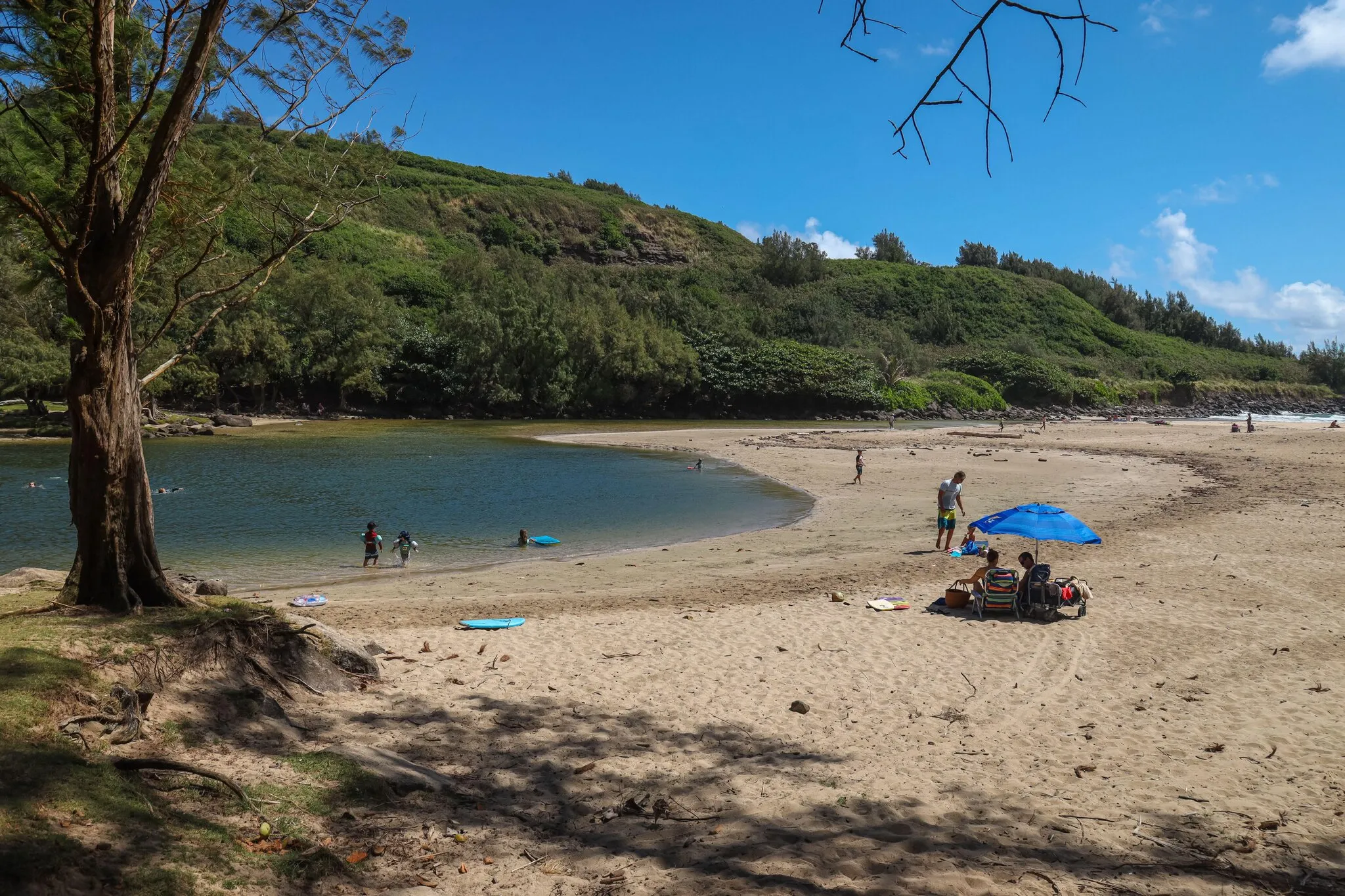 Kahili Beach Preserve image 1