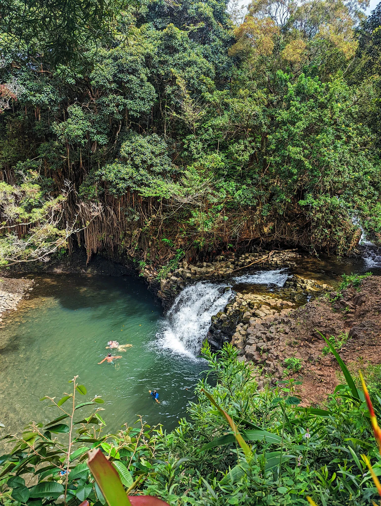 Twin Falls image 1