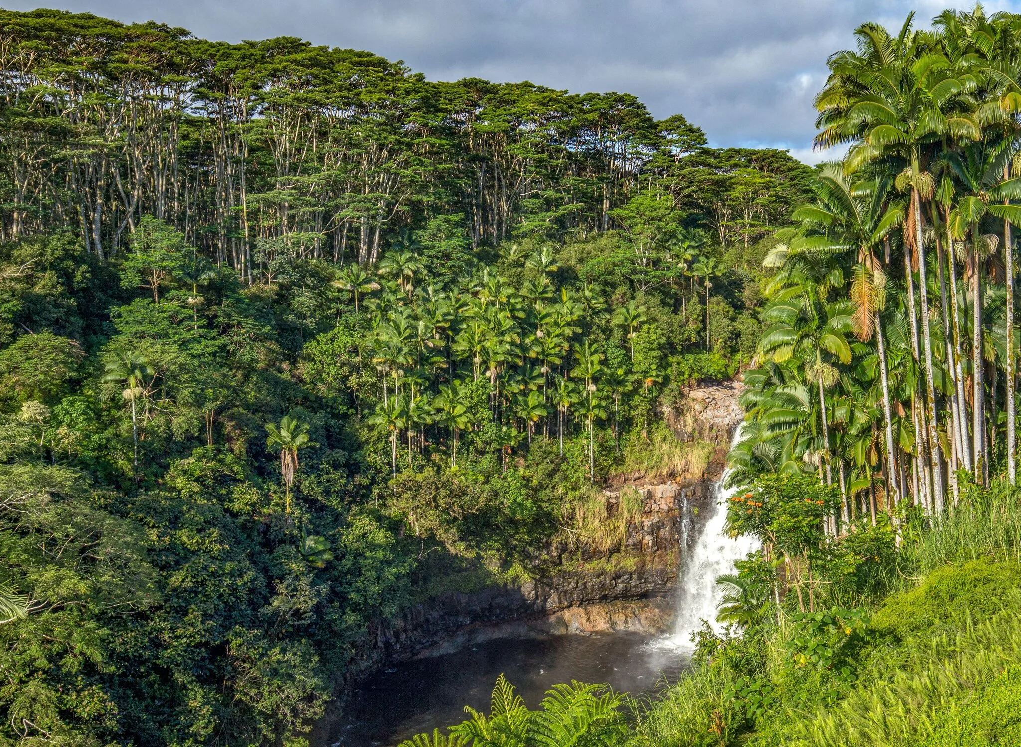 Kulaniapia Falls image 1